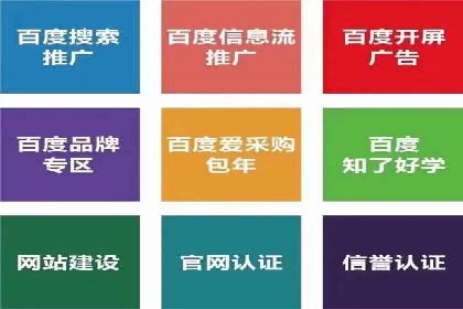 低成本高回报：百度竞价代理成功案例分析